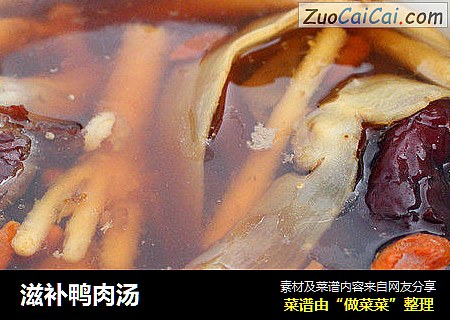 滋补鸭肉汤