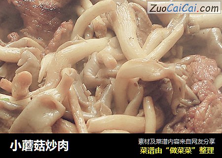 小蘑菇炒肉