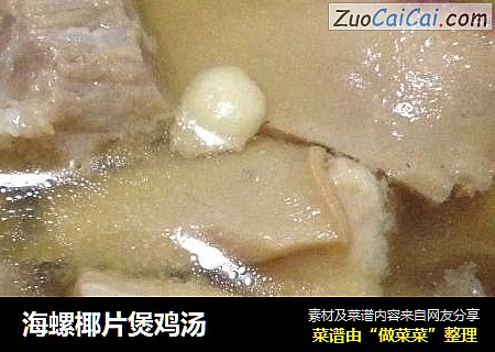 海螺椰片煲鸡汤