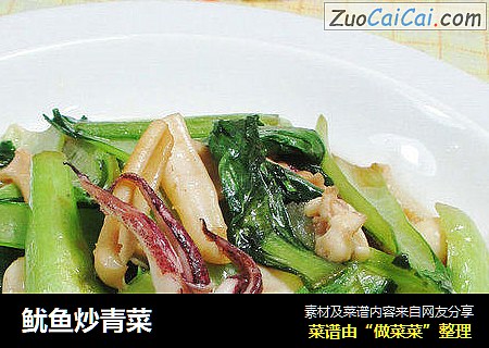 鱿鱼炒青菜 