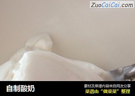 自制酸奶