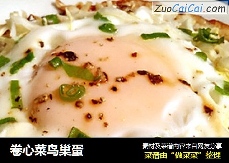 卷心菜鸟巢蛋