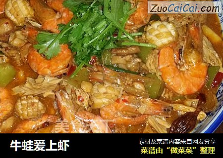牛蛙爱上虾