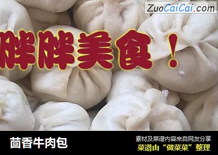 茴香牛肉包
