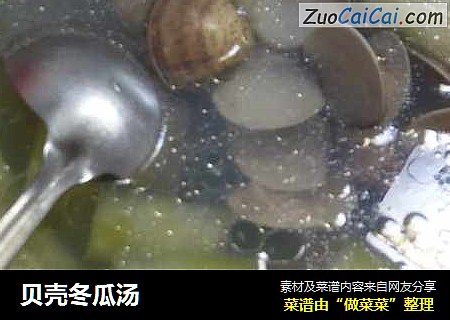 贝壳冬瓜汤