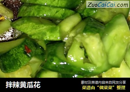 拌辣黄瓜花