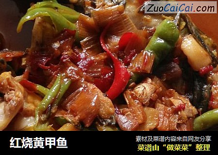 红烧黄甲鱼
