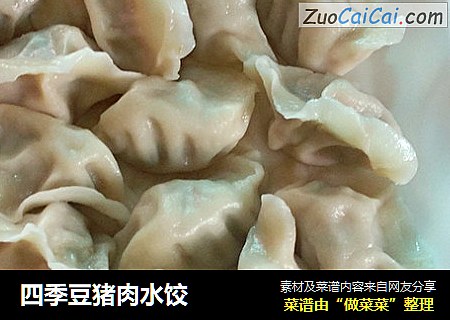 四季豆猪肉水饺