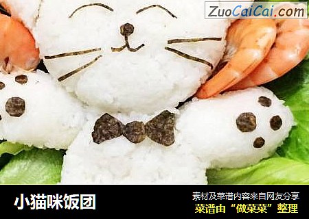 小猫咪饭团