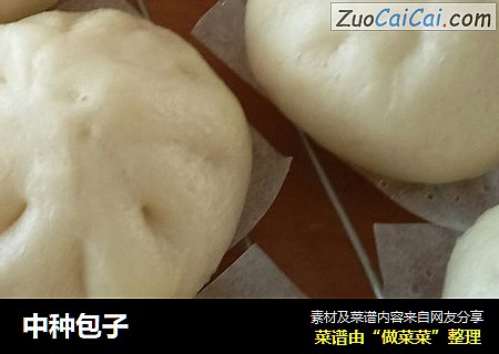 中种包子