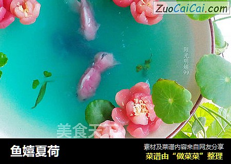 鱼嬉夏荷