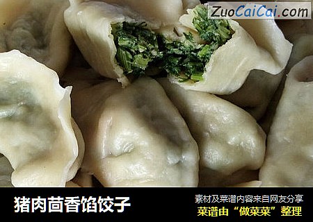 猪肉茴香馅饺子