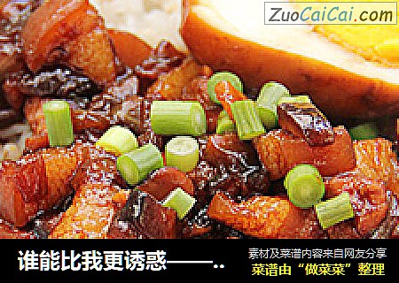 谁能比我更诱惑——卤肉饭