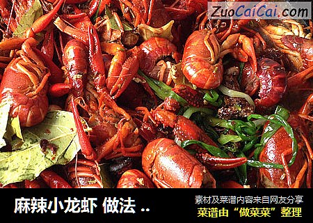 麻辣小龙虾 做法 食谱——味湶美食汇