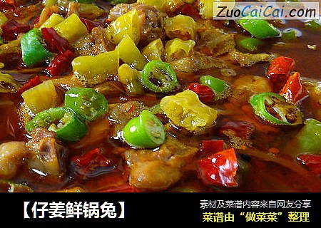 【仔姜鲜锅兔】
