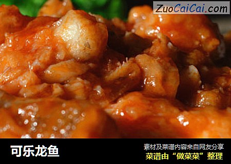 可乐龙鱼