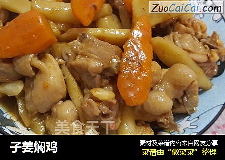 子姜焖鸡