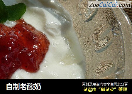 自制老酸奶