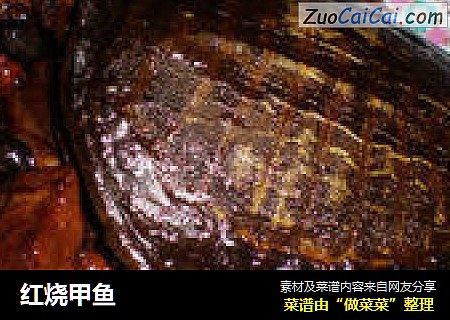 红烧甲鱼