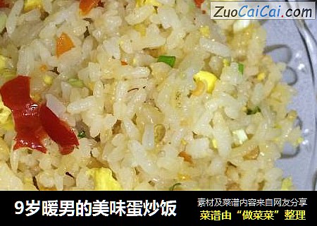 9岁暖男的美味蛋炒饭
