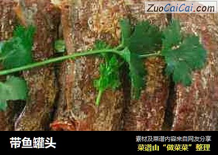 带鱼罐头