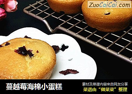 蔓越莓海棉小蛋糕