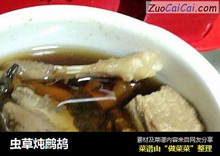 虫草炖鹧鸪
