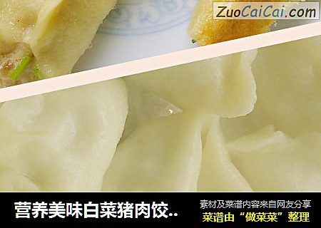 营养美味白菜猪肉饺子（内附锅贴做法）