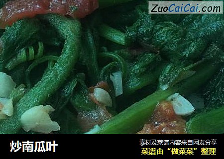 炒南瓜叶