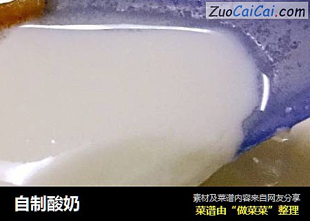 自制酸奶