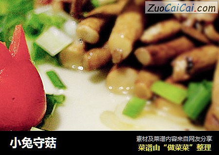 小兔守菇