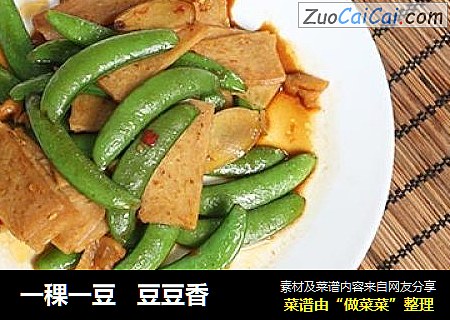 一稞一豆豆豆香