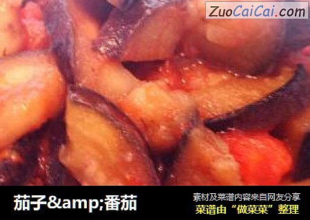 茄子&番茄