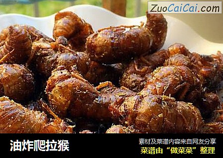 油炸爬拉猴