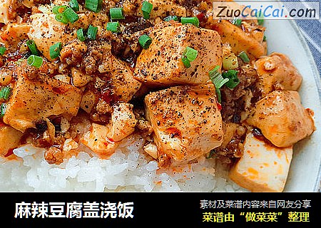麻辣豆腐盖浇饭