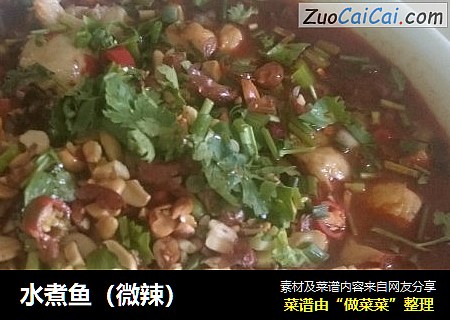 水煮鱼