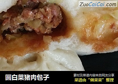 圆白菜猪肉包子