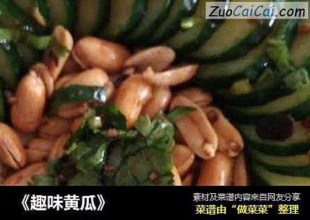 《趣味黄瓜》