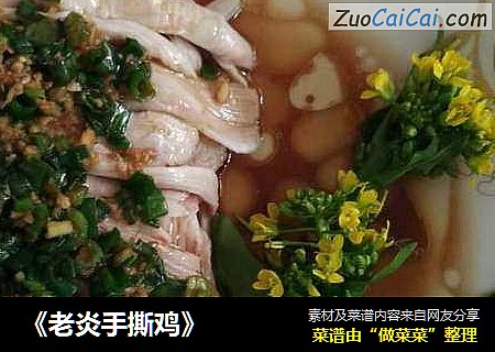 《老炎手撕鸡》