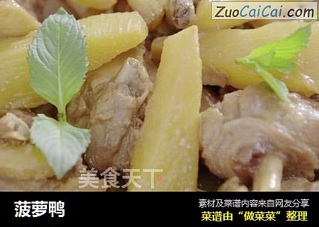 菠萝鸭