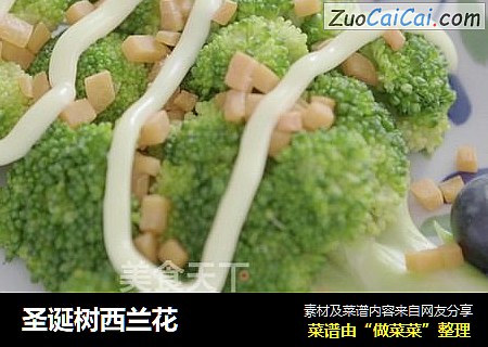 圣诞树西兰花