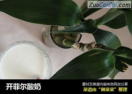 开菲尔酸奶