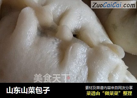 山东山菜包子