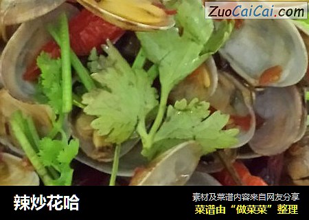 辣炒花哈