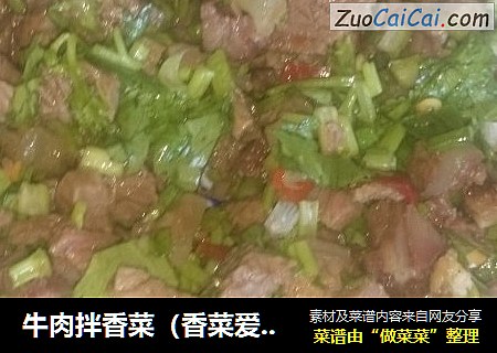 牛肉拌香菜（香菜爱好者）