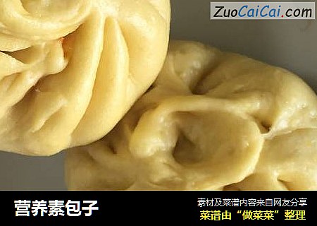 营养素包子