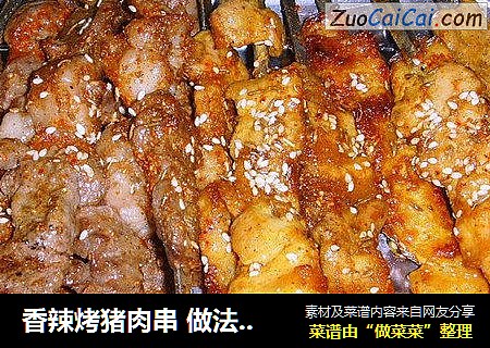 香辣烤猪肉串 做法 食谱   ——味湶美食汇