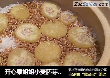 开心果姐姐小麦胚芽煲仔饭