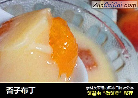 杏子布丁