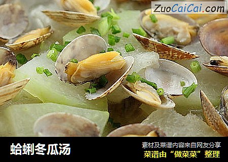 蛤蜊冬瓜汤